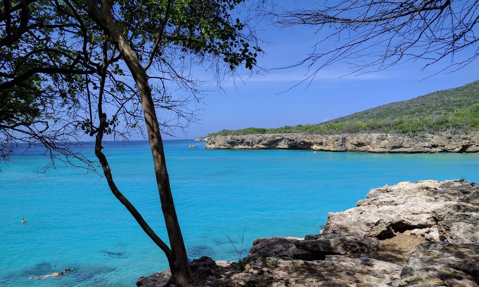 De turquoise baai van Grote Knip met rotsen en een boom op de voorgrond