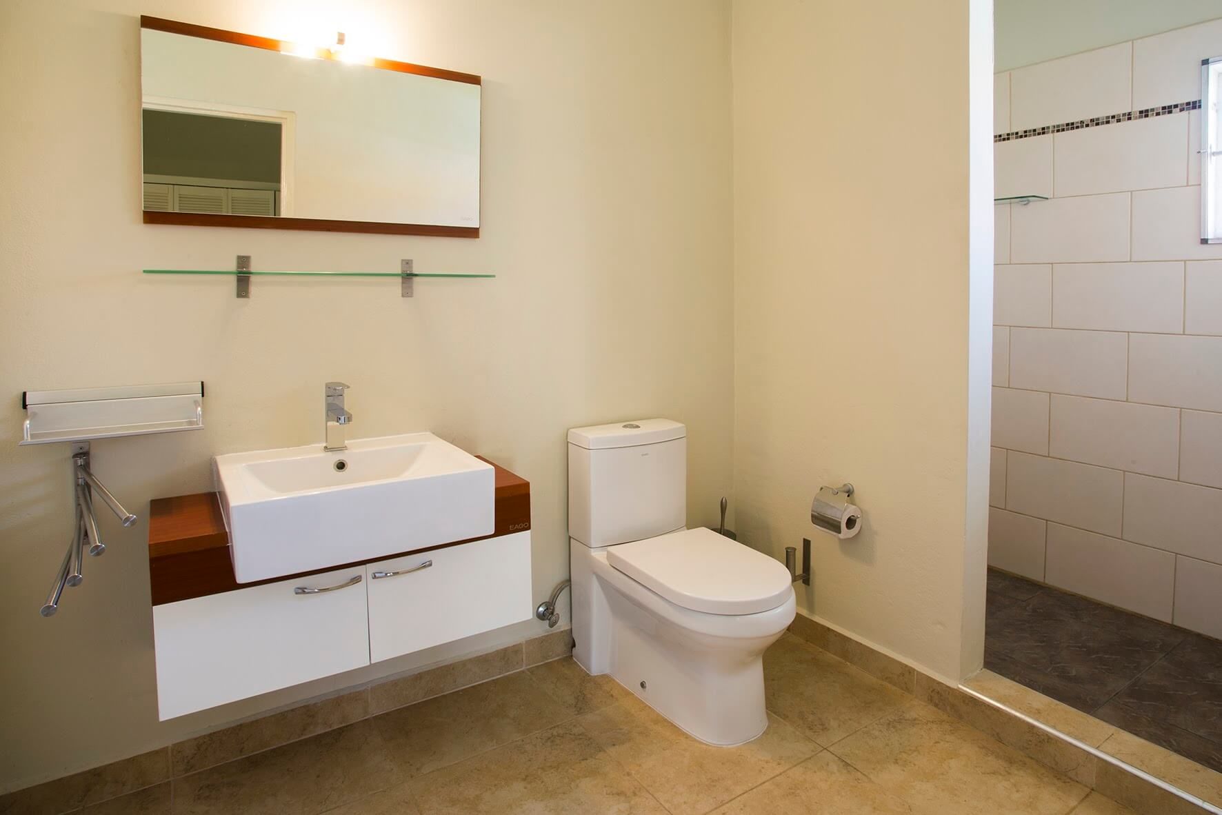 Een badkamer met wastafel, toilet en inloopdouche