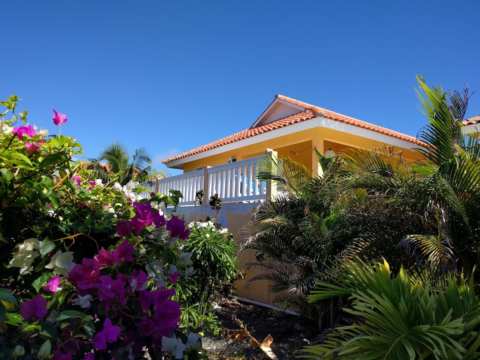 De tuin met bougainville en palmen, met het terras en het huis erachter
